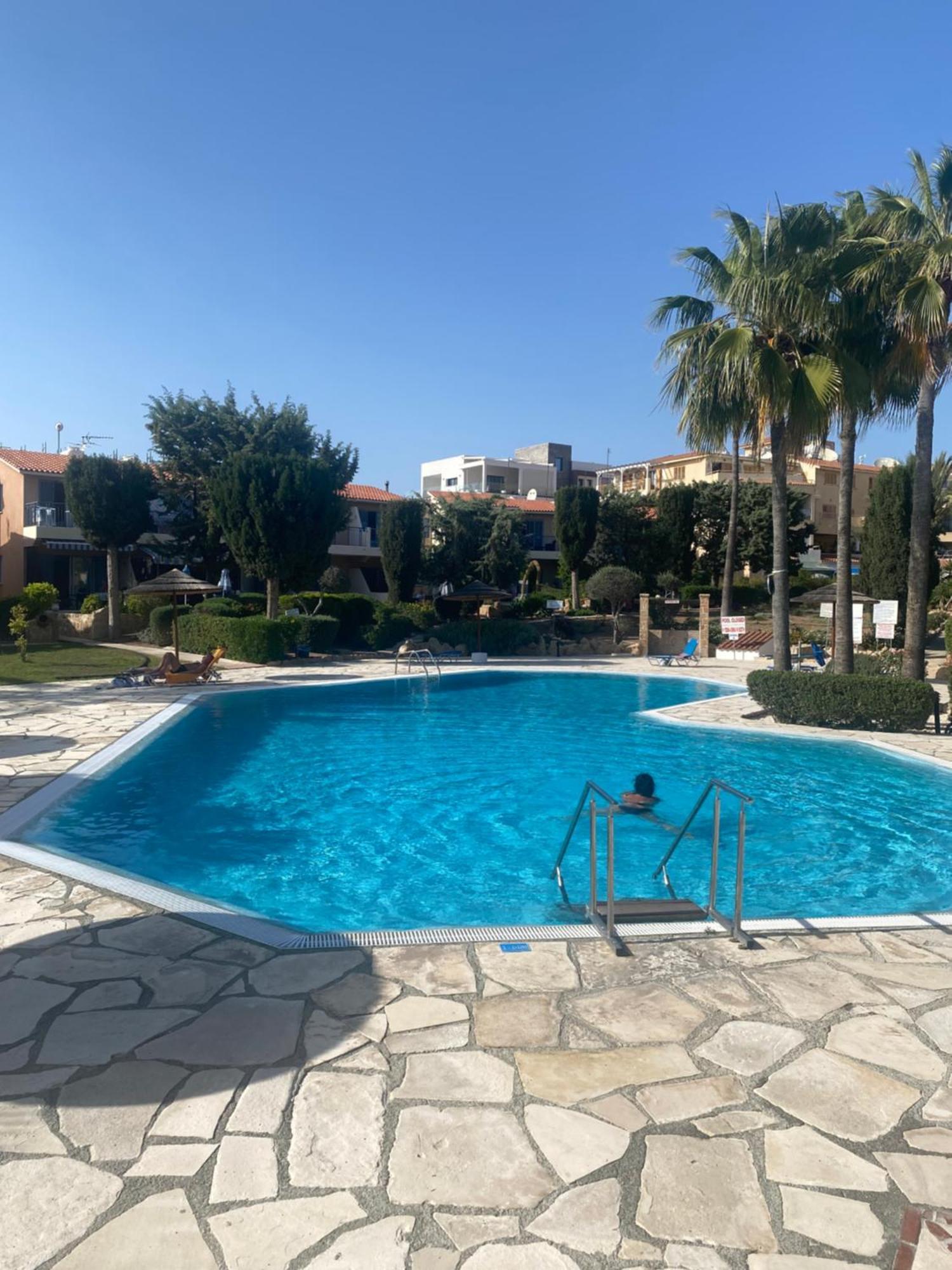 Newly Renovated- Regina Gardens 1, Venus Beach 500 M, Sea&Sunsets View, License Ooo7141 Paphos Eksteriør bilde