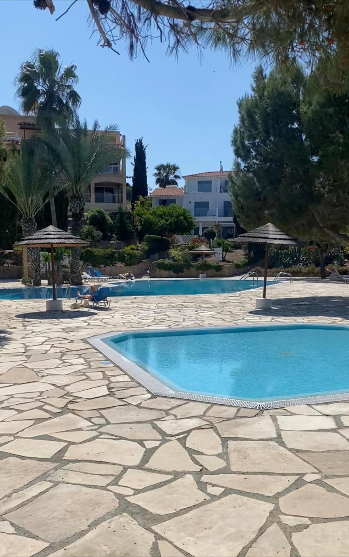 Newly Renovated- Regina Gardens 1, Venus Beach 500 M, Sea&Sunsets View, License Ooo7141 Paphos Eksteriør bilde