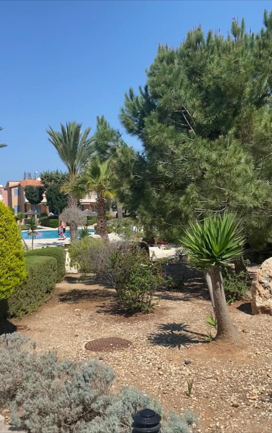 Newly Renovated- Regina Gardens 1, Venus Beach 500 M, Sea&Sunsets View, License Ooo7141 Paphos Eksteriør bilde