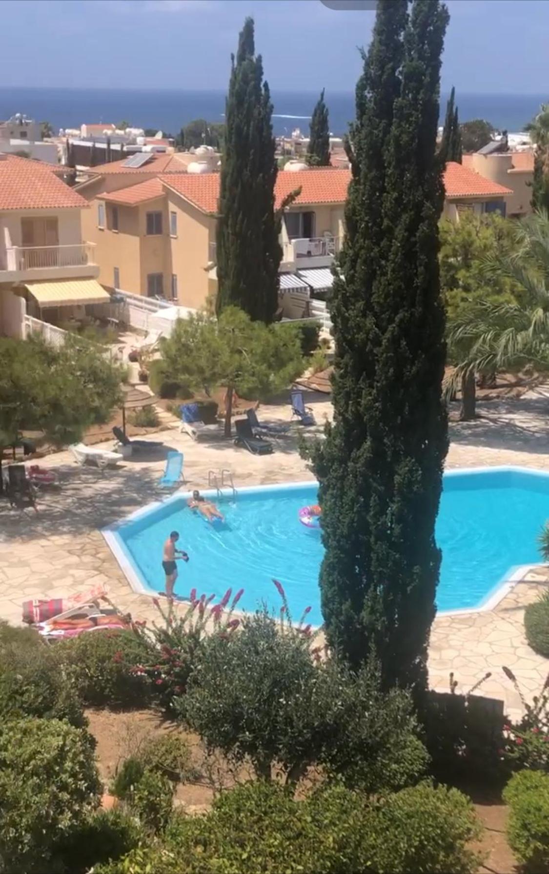 Newly Renovated- Regina Gardens 1, Venus Beach 500 M, Sea&Sunsets View, License Ooo7141 Paphos Eksteriør bilde