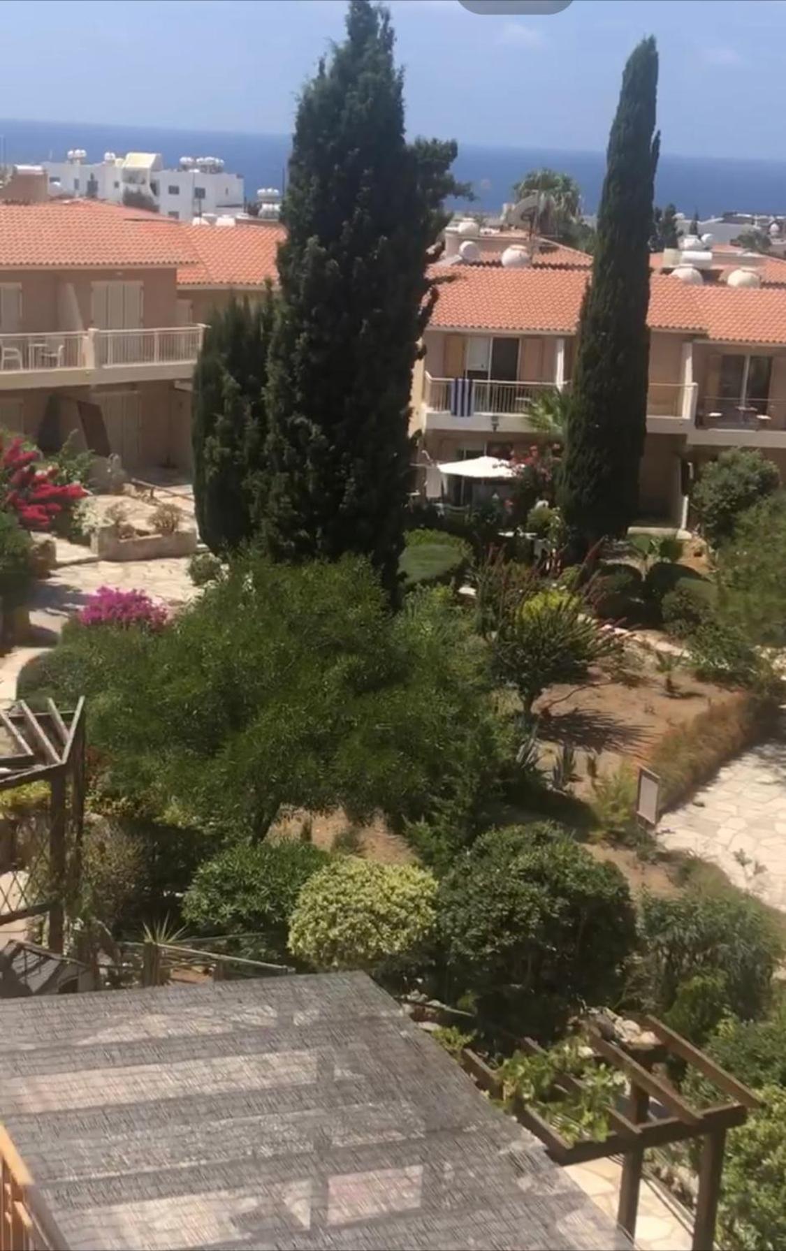 Newly Renovated- Regina Gardens 1, Venus Beach 500 M, Sea&Sunsets View, License Ooo7141 Paphos Eksteriør bilde