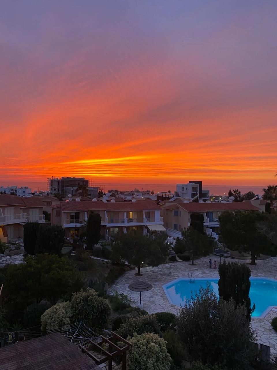 Newly Renovated- Regina Gardens 1, Venus Beach 500 M, Sea&Sunsets View, License Ooo7141 Paphos Eksteriør bilde