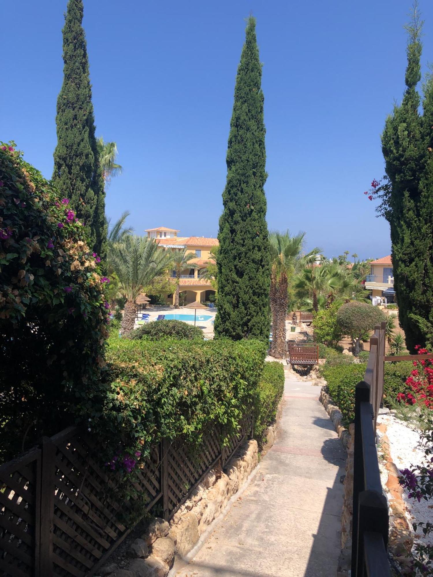Newly Renovated- Regina Gardens 1, Venus Beach 500 M, Sea&Sunsets View, License Ooo7141 Paphos Eksteriør bilde